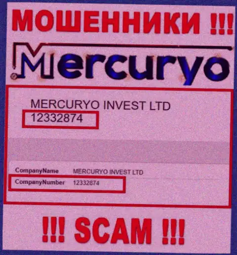 Рег. номер преступно действующей компании Меркурио - 12332874