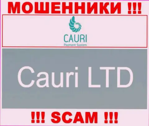 Не стоит вестись на информацию о существовании юридического лица, Каури Ком - Cauri LTD, все равно оставят без денег