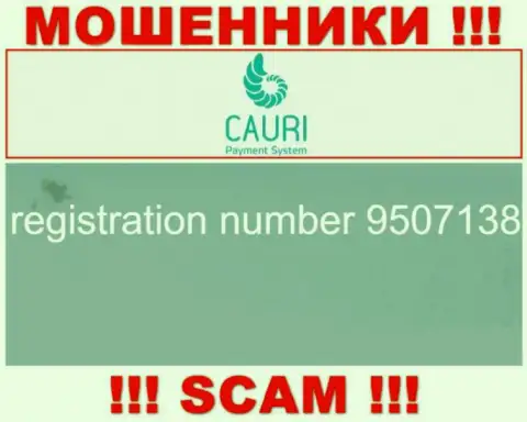 Регистрационный номер, который принадлежит незаконно действующей компании Каури - 9507138