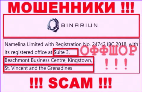 Совместно работать с компанией Binariun Net довольно рискованно - их оффшорный официальный адрес - Suite 3, Beachmont Business Centre, Kingstown, St. Vincent and the Grenadines (инфа взята с их веб-сайта)
