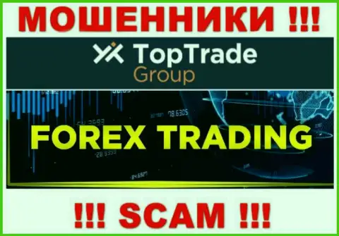 TopTrade Group это мошенники, их деятельность - ФОРЕКС, нацелена на кражу денег людей