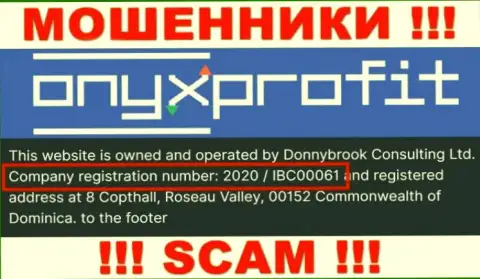 Регистрационный номер, который принадлежит компании Оникс Профит - 2020 / IBC00061