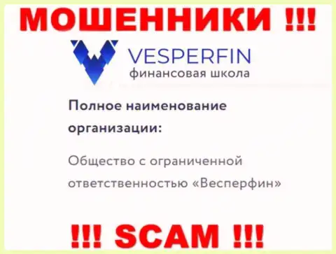 Инфа про юридическое лицо мошенников ВесперФин Ком - ООО Весперфин, не спасет Вас от их загребущих рук