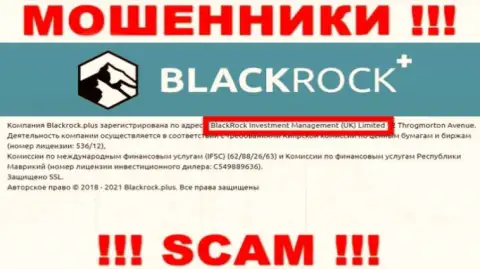 Владельцами BlackRock Plus оказалась компания - BlackRock Investment Management (UK) Ltd