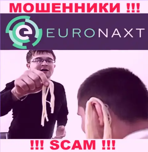 EuroNaxt Com делают попытки развести на сотрудничество ??? Будьте очень внимательны, обворовывают