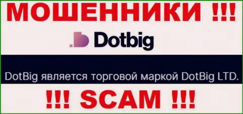 Dot Big - юр. лицо интернет мошенников организация DotBig LTD