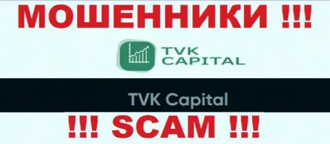 TVK Capital - это юр лицо мошенников TVKCapital