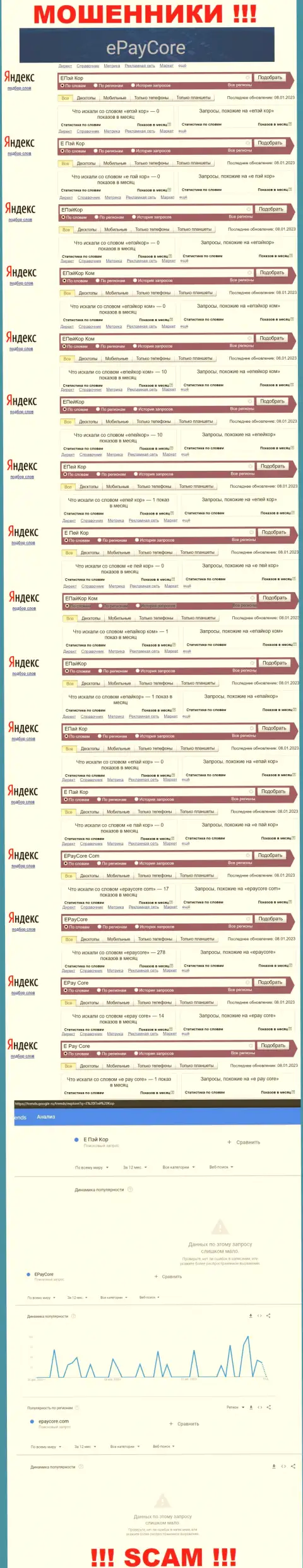 Сколько именно людей искали сведения об мошенниках EPayCore, о чем говорит статистика поисковых запросов ?