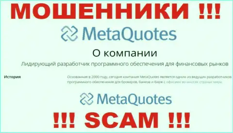 Разработка программ - именно в таком направлении оказывают услуги мошенники МетаКвуотез Нет