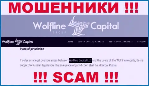 Юр. лицо организации Wolfline Capital - это Wolfline Capital LLC