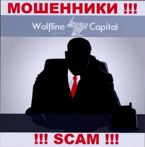 Не тратьте время на поиски инфы о непосредственном руководстве Wolfline Capital LLC, все данные тщательно скрыты