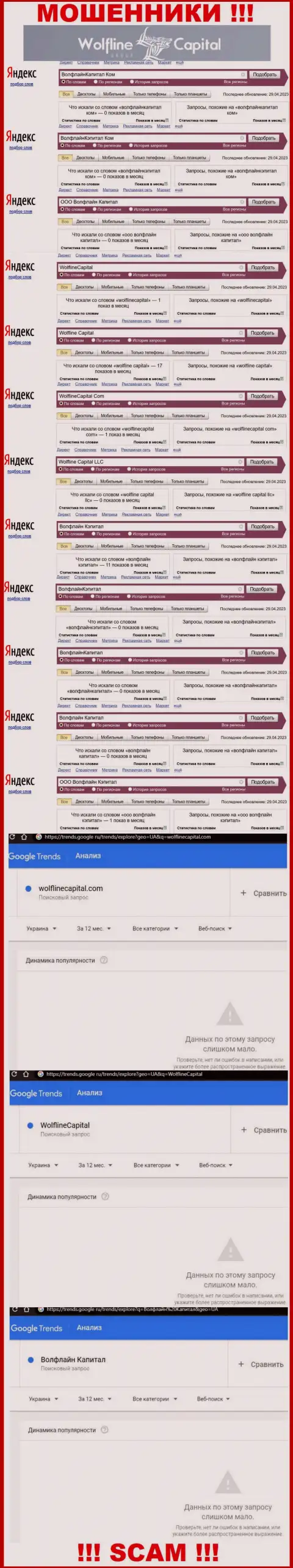 Статистика о числе онлайн-запросов инфы об мошенниках Wolfline Capital