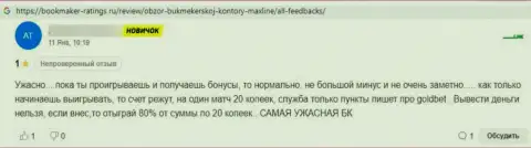 МаксЛайн - это internet мошенники, критичный реальный отзыв, не попадитесь к ним в загребущие лапы