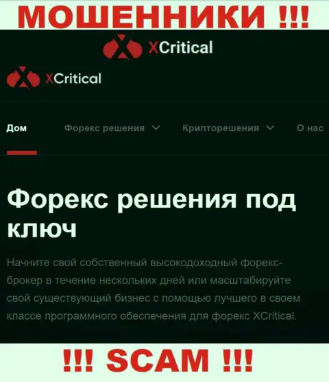 Икс Критикал - это сомнительная компания, род деятельности которой - ФОРЕКС