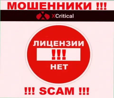 Информации о лицензионном документе компании XCritical Com на ее официальном сайте НЕ ПОКАЗАНО