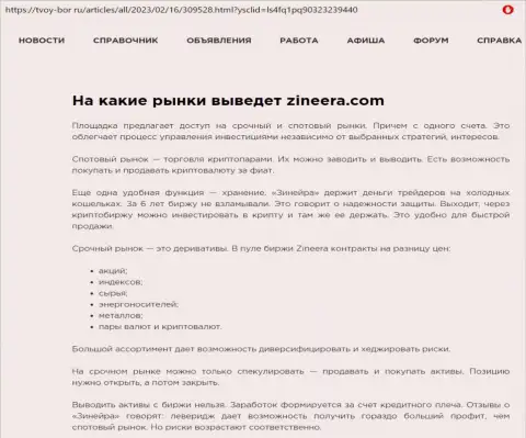 Информация об существенном ряде торговых инструментов дилера Zinnera, представленная на веб-сервисе Tvoy Bor Ru