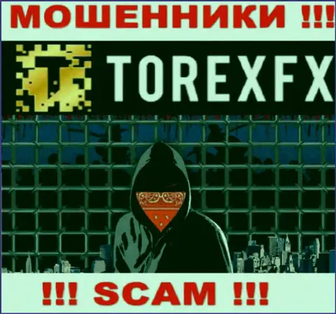 TorexFX скрывают данные о Администрации конторы